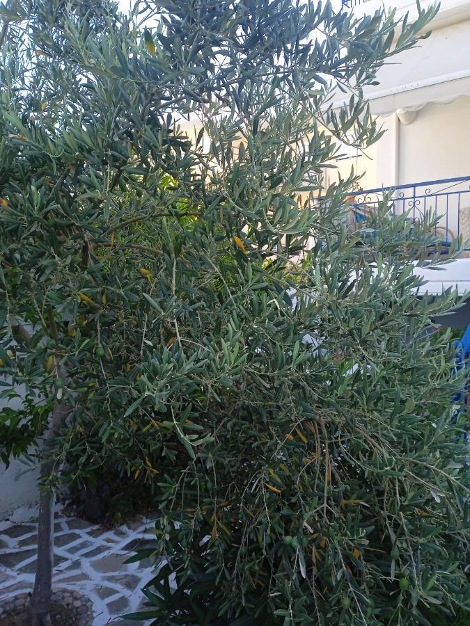 Seethesea Apartment Kanali Preveza Exterior foto